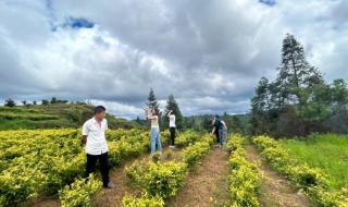 贵州体考130什么水平 贵州村超水平怎么样