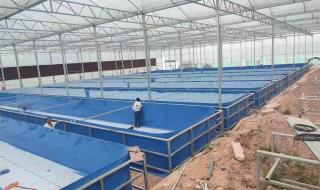 室内循环水养殖系统设备安装需要哪些 循环水设备