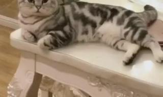 朱传奇画室 朱传奇画室