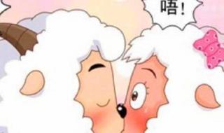 喜羊羊为什么宠懒羊羊 喜羊羊爱美羊羊吗