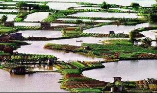 最新电影南方小镇 最新电影南方小镇