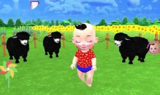 一群小鸭子的动画片 小鸭子动画片